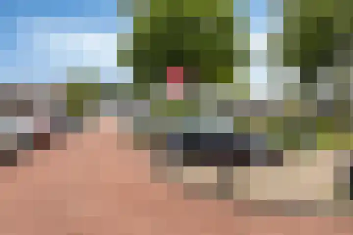 Lobeliaplein 3 A Spijkenisse thumbnail 6