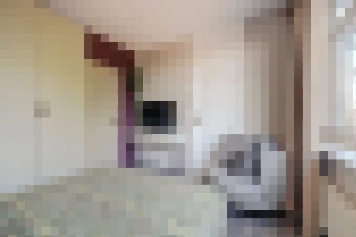 Lobeliaplein 3 B Spijkenisse thumbnail 13