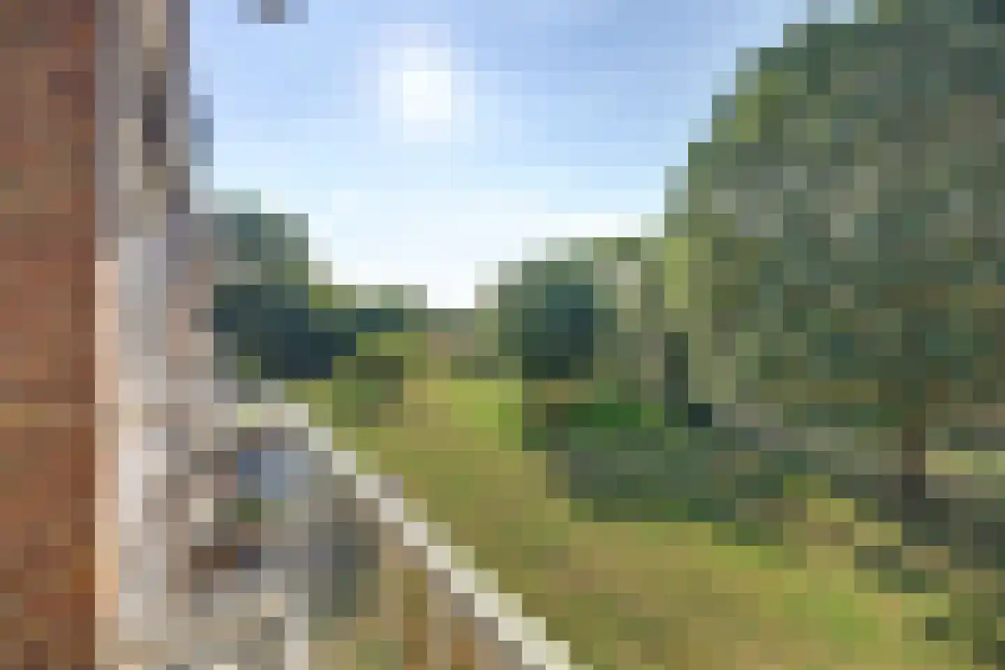 Lobeliaplein 3 B Spijkenisse thumbnail 16