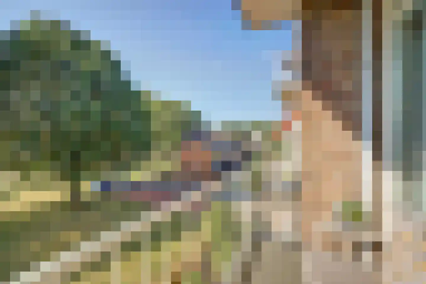 Lobeliaplein 3 B Spijkenisse thumbnail 17