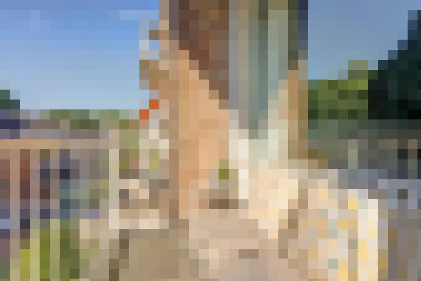 Lobeliaplein 3 B Spijkenisse thumbnail 18