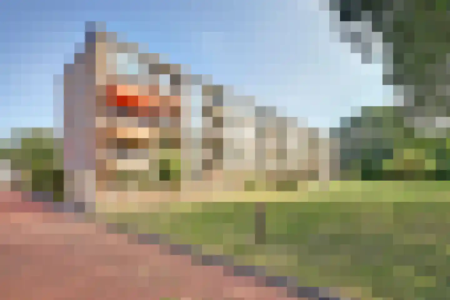 Lobeliaplein 3 B Spijkenisse thumbnail 24