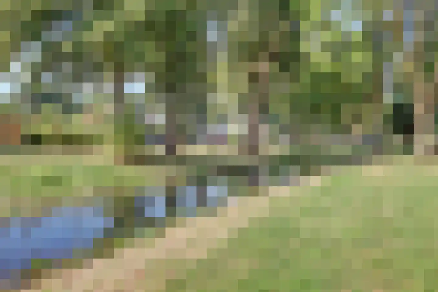 Lobeliaplein 3 B Spijkenisse thumbnail 27