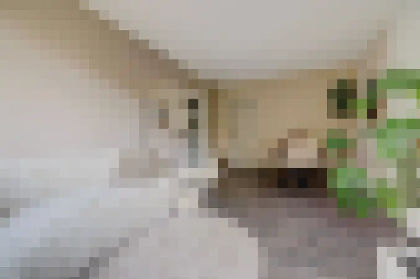Lobeliaplein 3 B Spijkenisse thumbnail 4