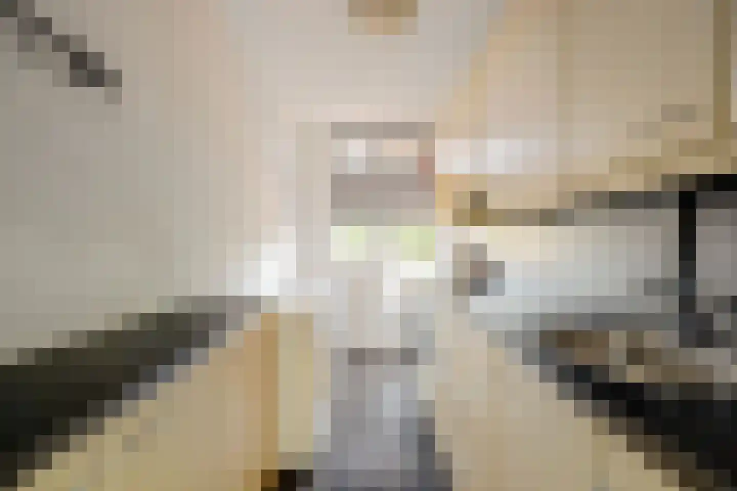 Lobeliaplein 3 B Spijkenisse thumbnail 6