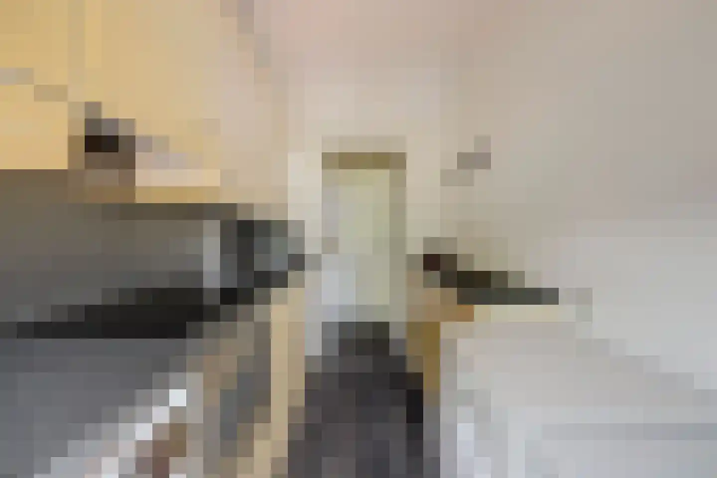 Lobeliaplein 3 B Spijkenisse thumbnail 7