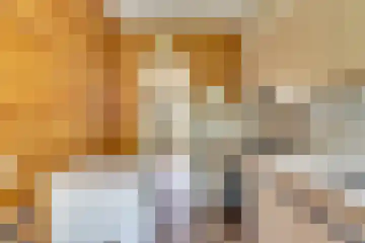 Lobeliaplein 31 Spijkenisse thumbnail 11