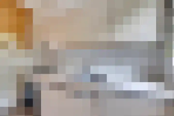 Lobeliaplein 31 Spijkenisse thumbnail 12
