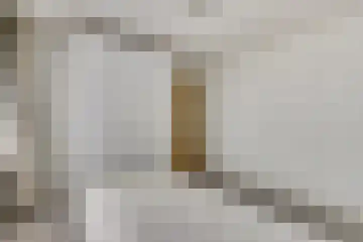 Lobeliaplein 31 Spijkenisse thumbnail 15