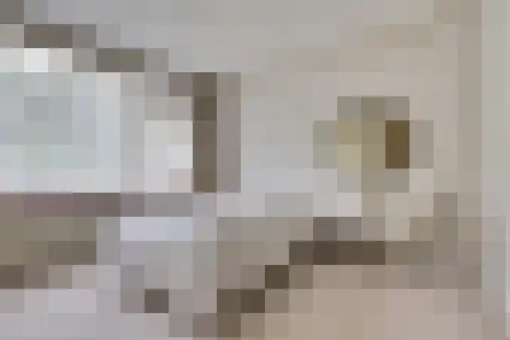 Lobeliaplein 31 Spijkenisse thumbnail 16