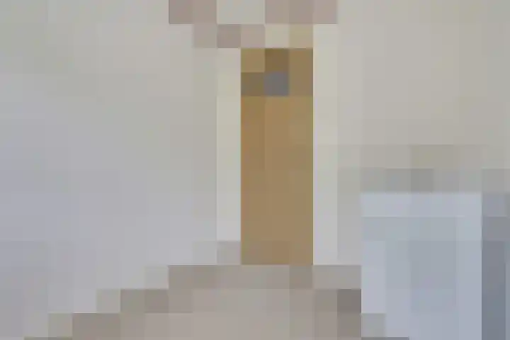Lobeliaplein 31 Spijkenisse thumbnail 19