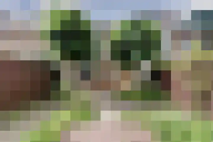 Lobeliaplein 31 Spijkenisse thumbnail 23