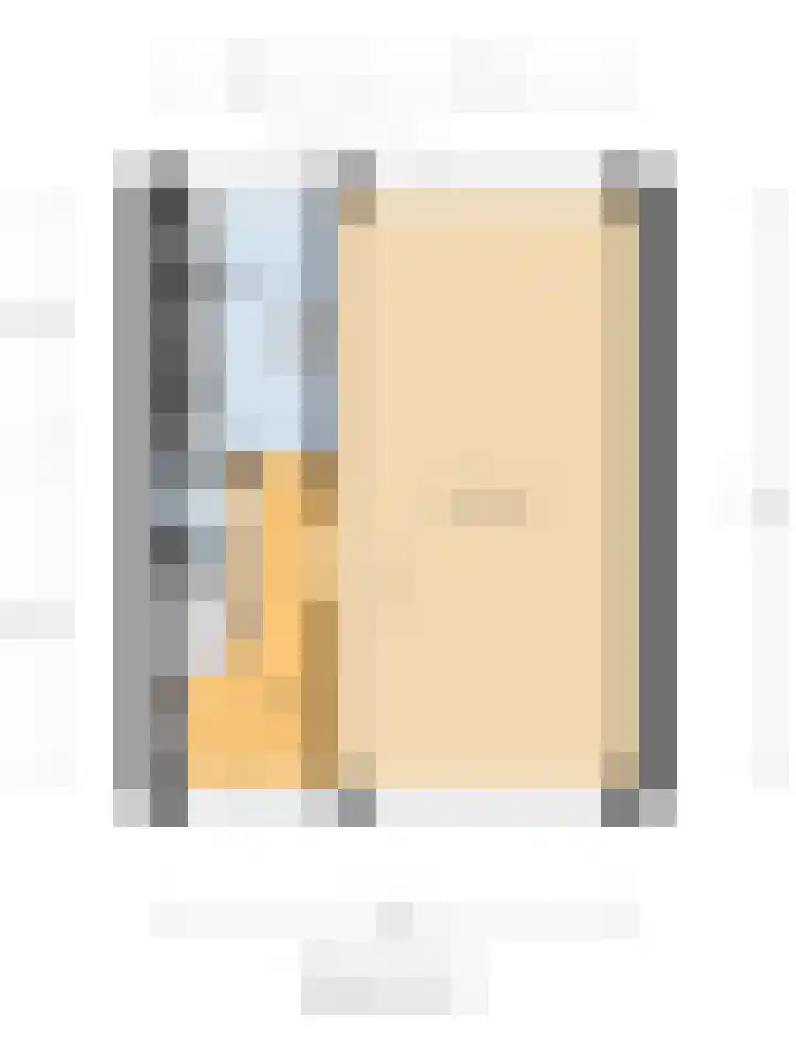 Lobeliaplein 31 Spijkenisse thumbnail 29