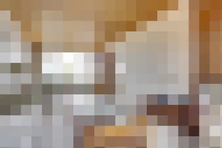 Lobeliaplein 31 Spijkenisse thumbnail 6