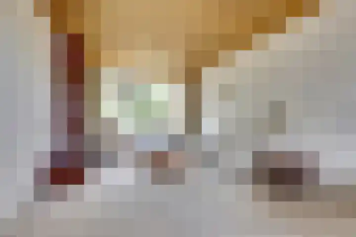 Lobeliaplein 31 Spijkenisse thumbnail 7