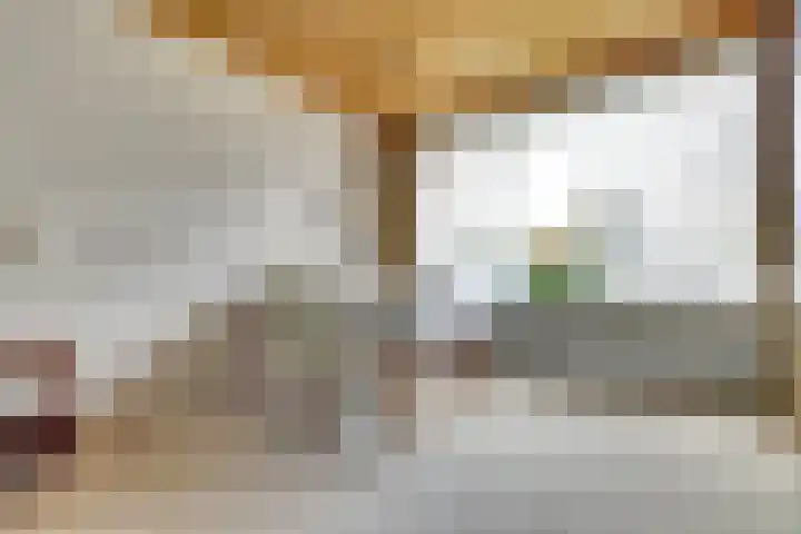 Lobeliaplein 31 Spijkenisse thumbnail 9