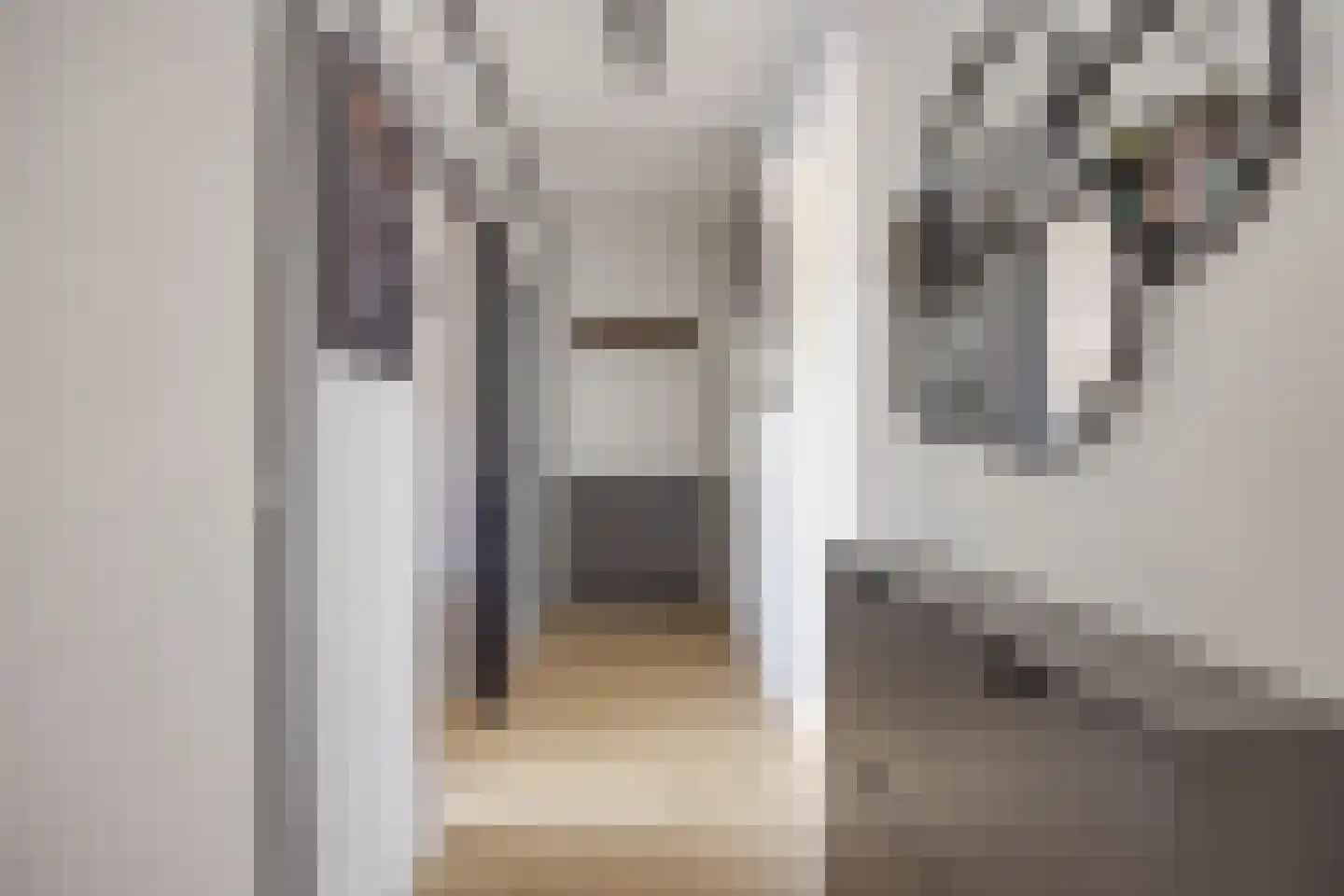 Lobeliaplein 9 C Spijkenisse thumbnail 12