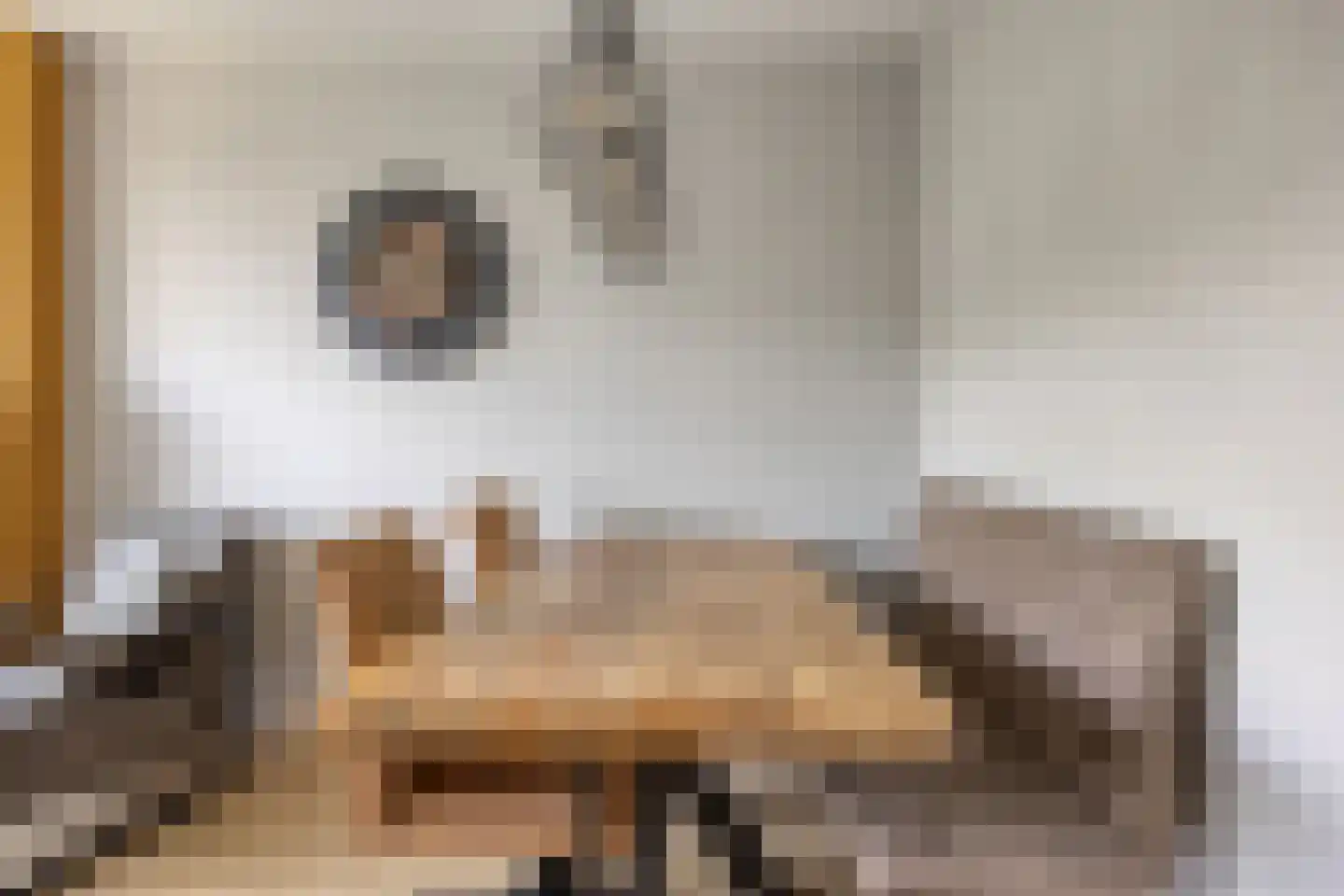Lobeliaplein 9 C Spijkenisse thumbnail 13
