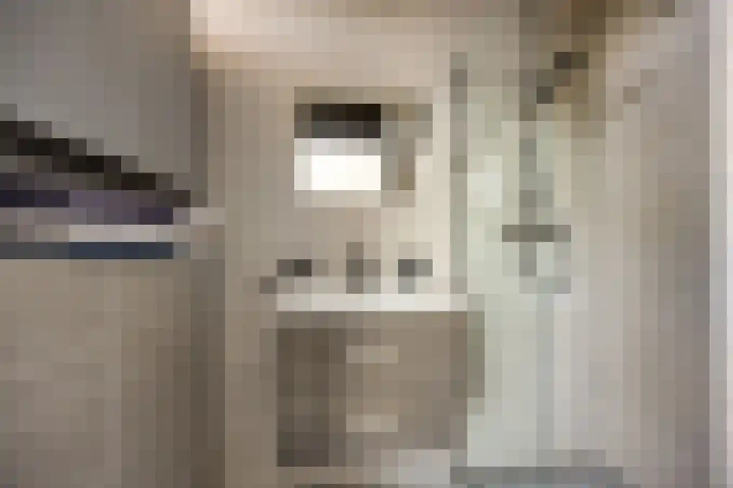 Lobeliaplein 9 C Spijkenisse thumbnail 4