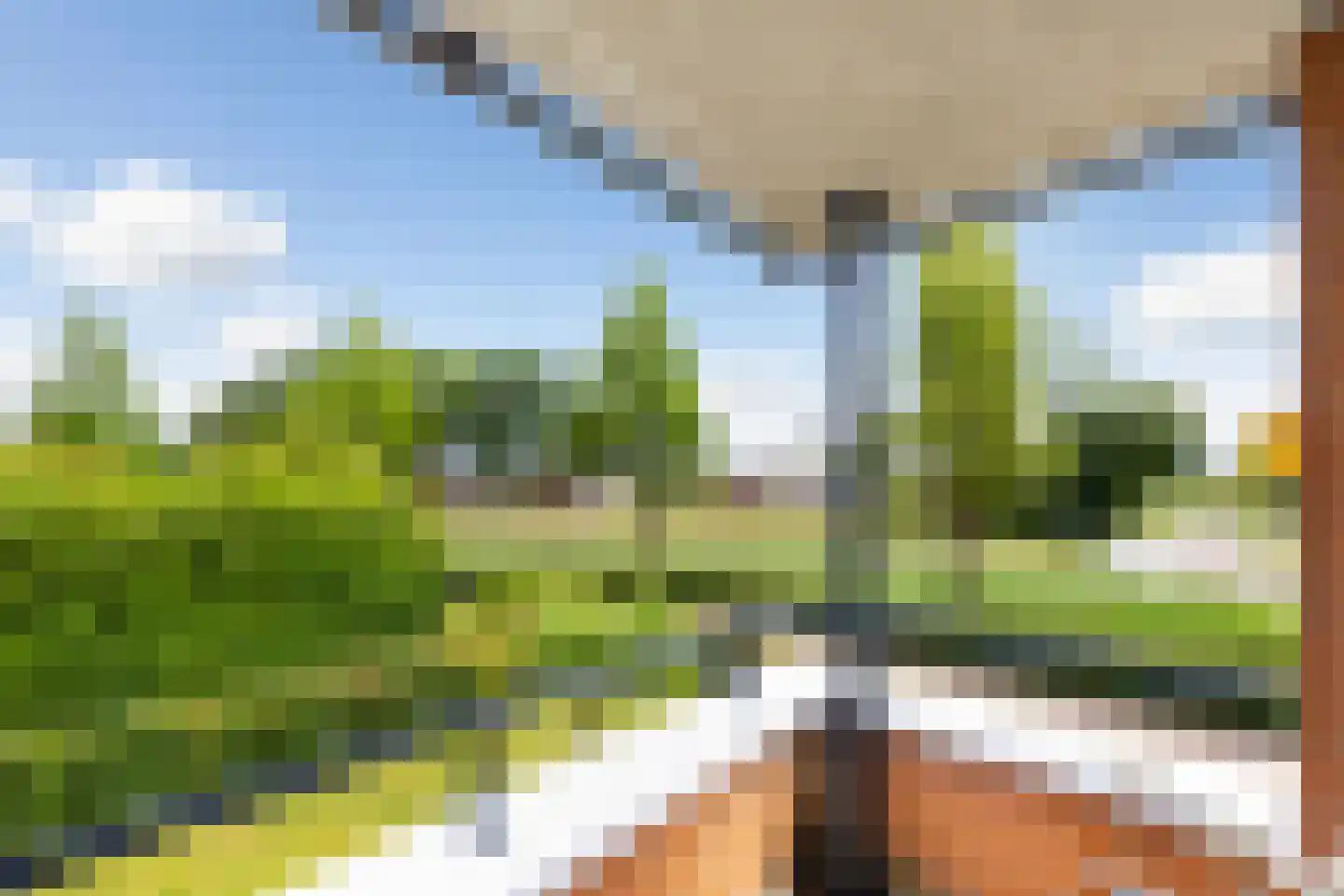 Lobeliastraat 12 Barneveld thumbnail 23
