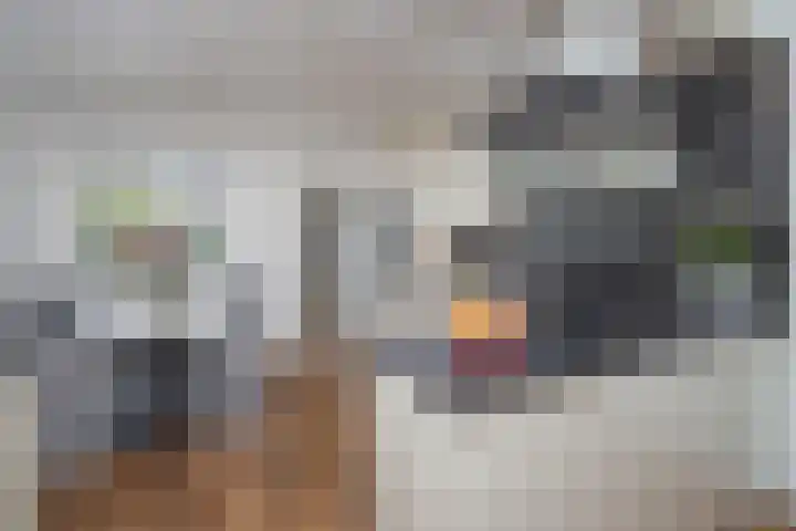 Lobeliastraat 13 Hoogkarspel thumbnail 12