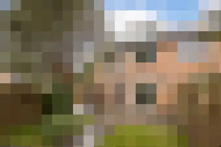 Lobeliastraat 13 Hoogkarspel thumbnail 30
