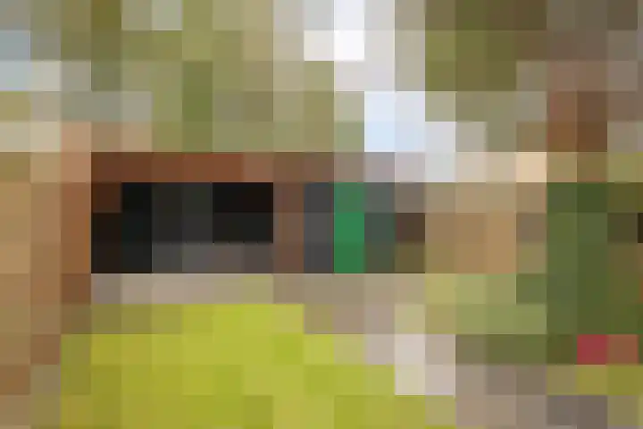 Lobeliastraat 13 Hoogkarspel thumbnail 32