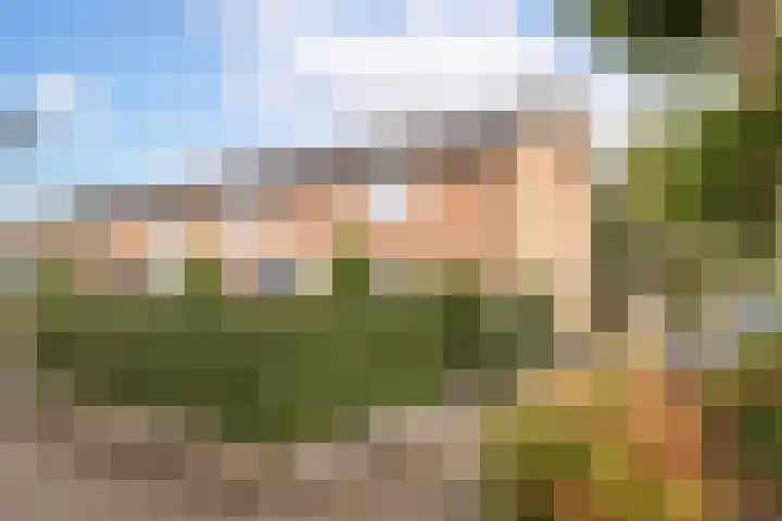 Lobeliastraat 13 Hoogkarspel thumbnail 33