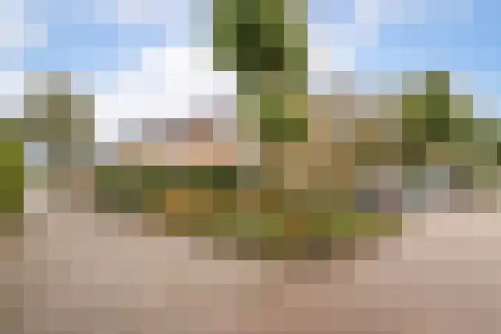 Lobeliastraat 13 Hoogkarspel thumbnail 34
