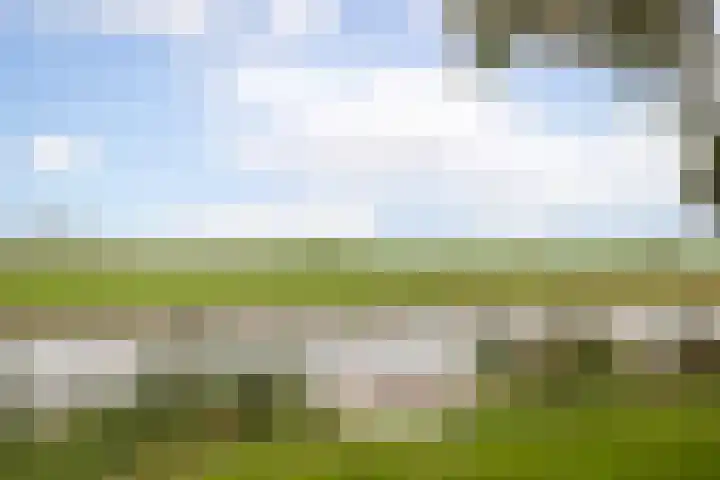 Lobeliastraat 13 Hoogkarspel thumbnail 36