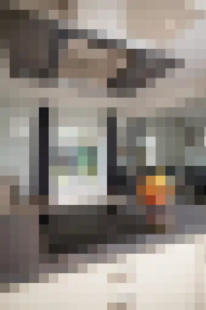 Lobeliastraat 13 Hoogkarspel thumbnail 44
