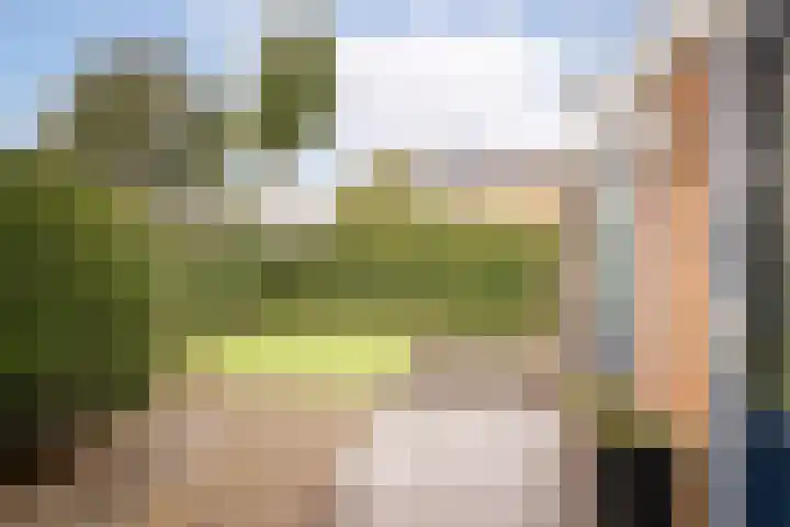 Lobeliastraat 13 Hoogkarspel thumbnail 6