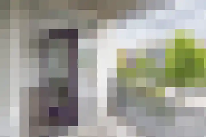 Lobeliastraat 19 Barneveld thumbnail 11