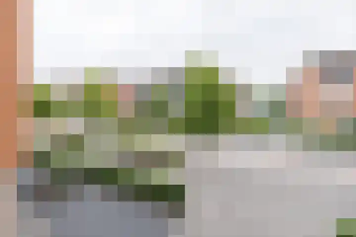 Lobeliastraat 19 Barneveld thumbnail 12
