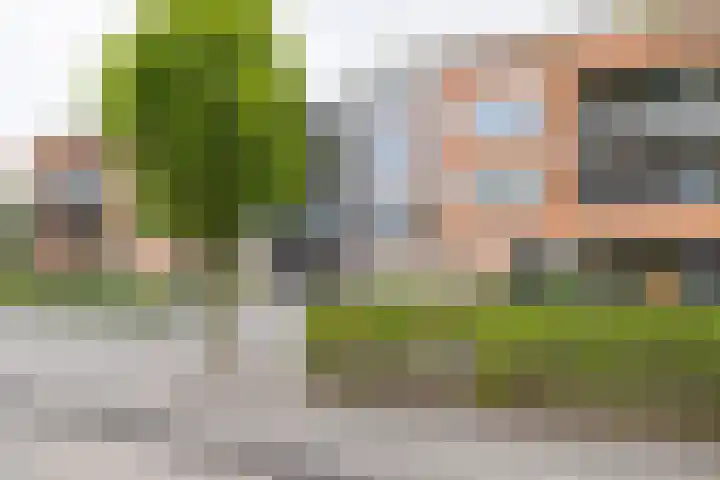 Lobeliastraat 19 Barneveld thumbnail 29