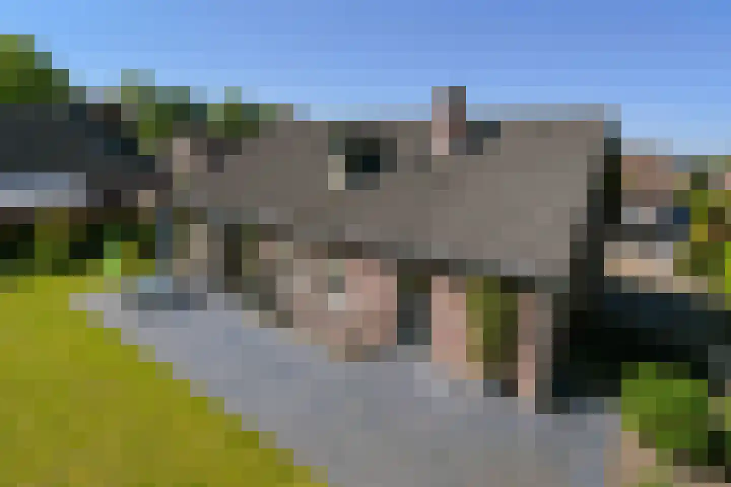 Lobeliastraat 22 Ittervoort thumbnail 29