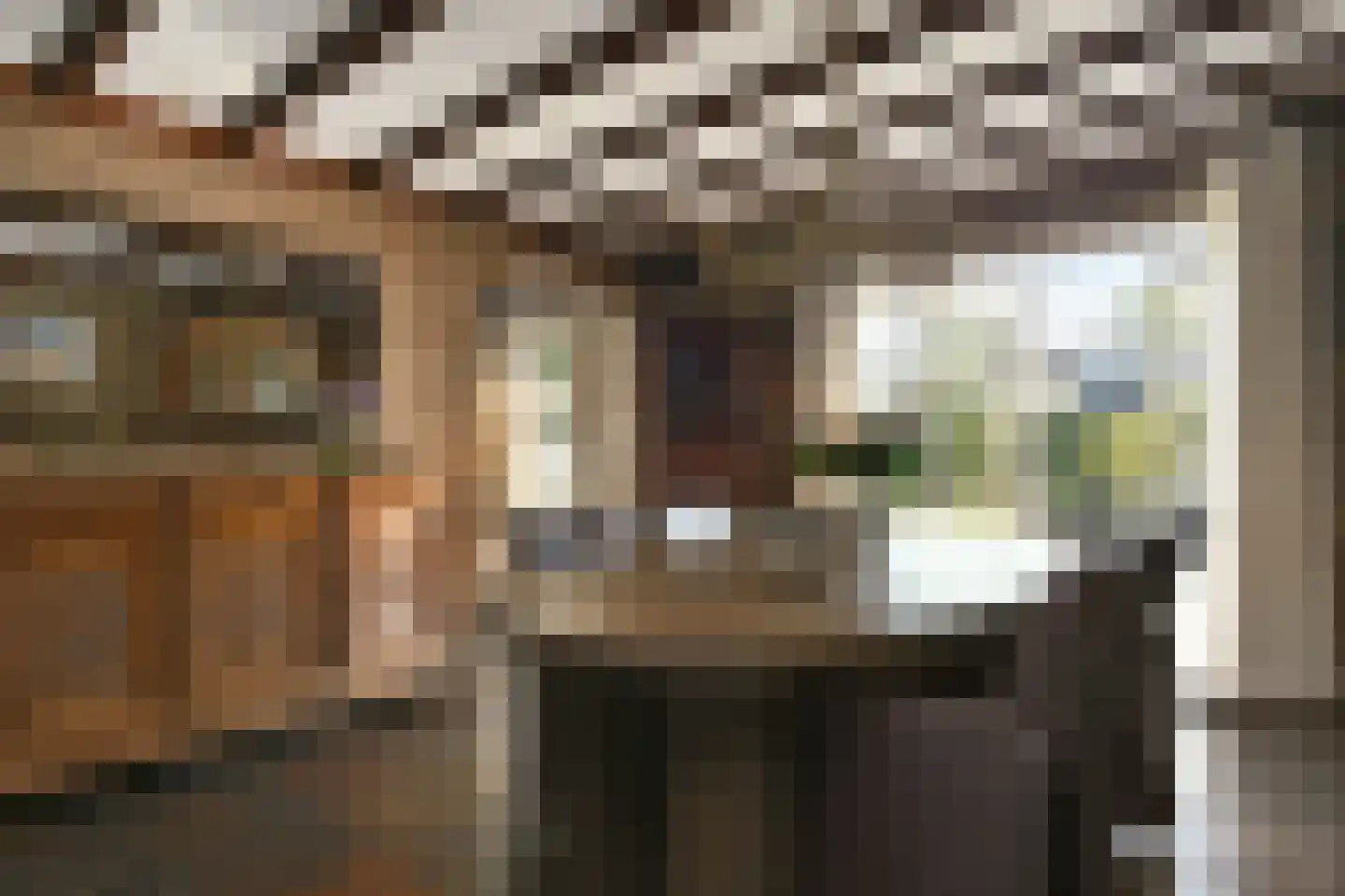 Lobeliastraat 22 Ittervoort thumbnail 6