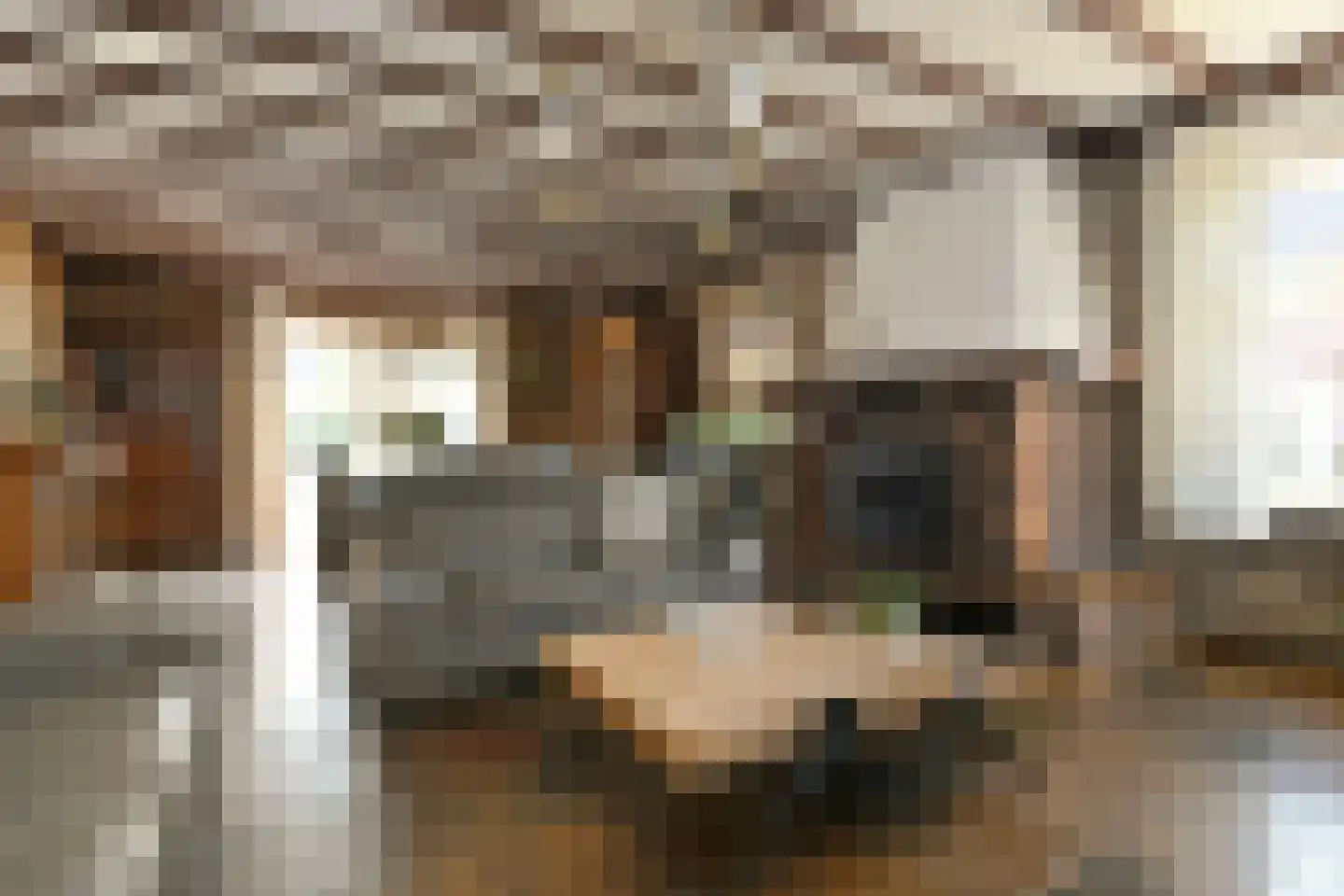 Lobeliastraat 22 Ittervoort thumbnail 7