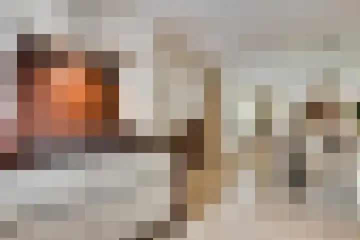 Lobeliastraat 24 Ittervoort thumbnail 11