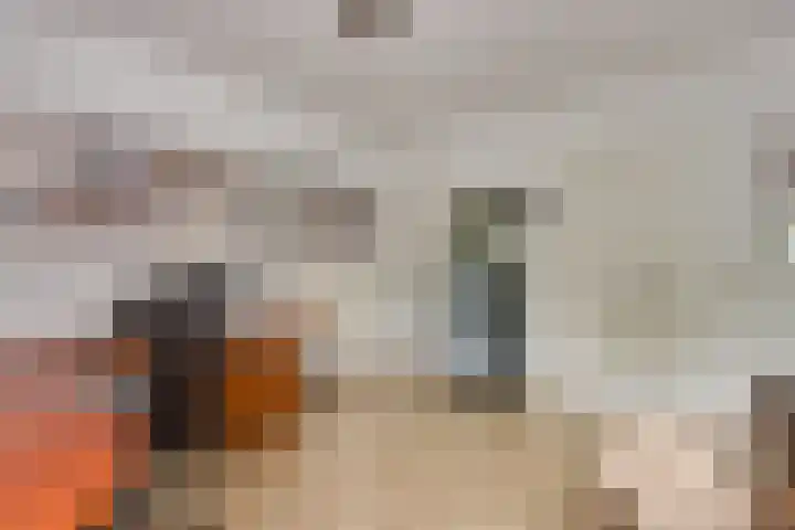 Lobeliastraat 24 Ittervoort thumbnail 13