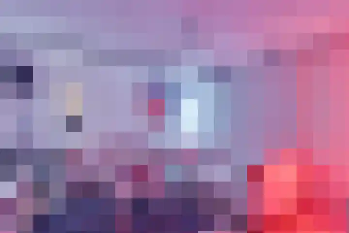 Lobeliastraat 24 Ittervoort thumbnail 14