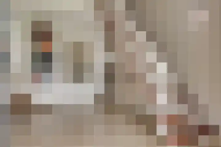 Lobeliastraat 24 Ittervoort thumbnail 16