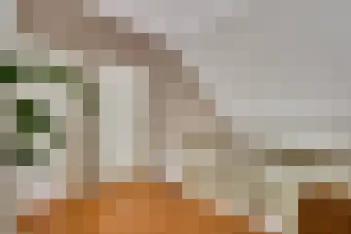 Lobeliastraat 24 Ittervoort thumbnail 18