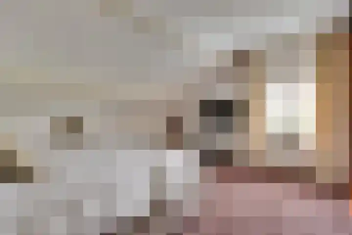 Lobeliastraat 24 Ittervoort thumbnail 20