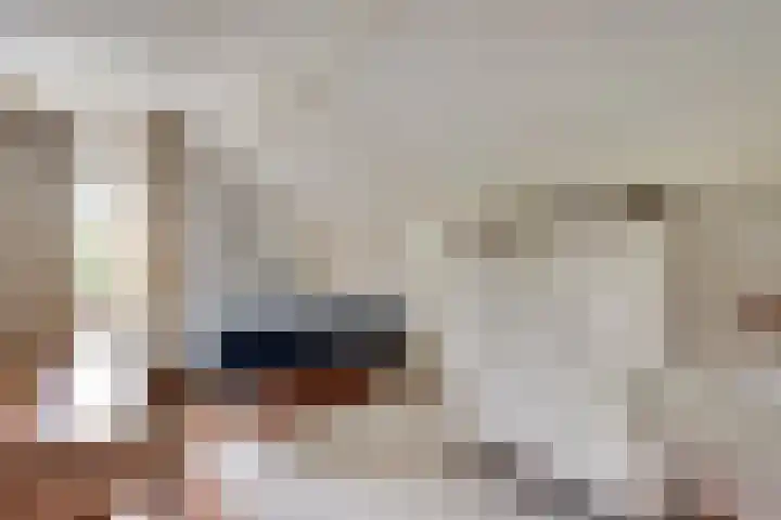 Lobeliastraat 24 Ittervoort thumbnail 25