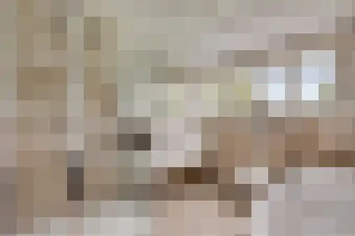Lobeliastraat 24 Ittervoort thumbnail 26