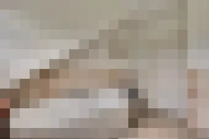 Lobeliastraat 24 Ittervoort thumbnail 27