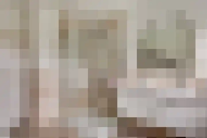 Lobeliastraat 24 Ittervoort thumbnail 28