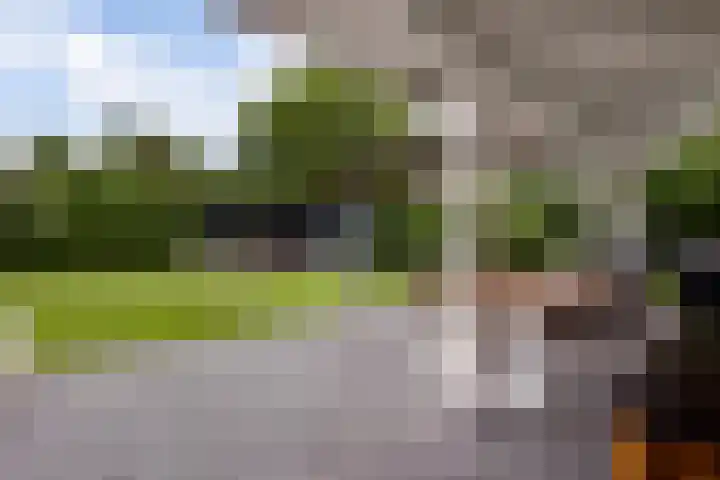 Lobeliastraat 24 Ittervoort thumbnail 30