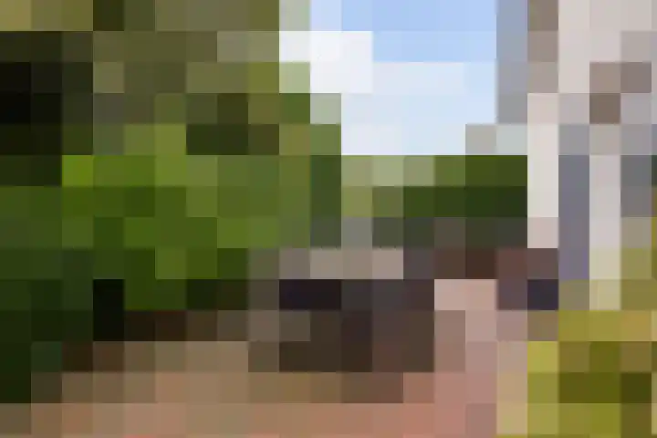 Lobeliastraat 24 Ittervoort thumbnail 32